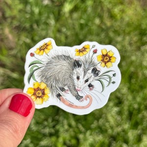 Pegatina: Planificador de zarigüeyas de flor amarilla de pantano, manualidades, pegatinas de vinilo, vida silvestre, rehabilitación animal, amantes de los animales