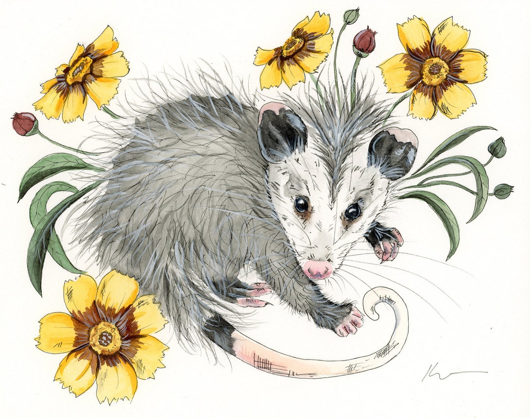 Caring for Possums [ペーパーバック] Smith， Barbara il_1080xN.3581923130_4e7i.jpg