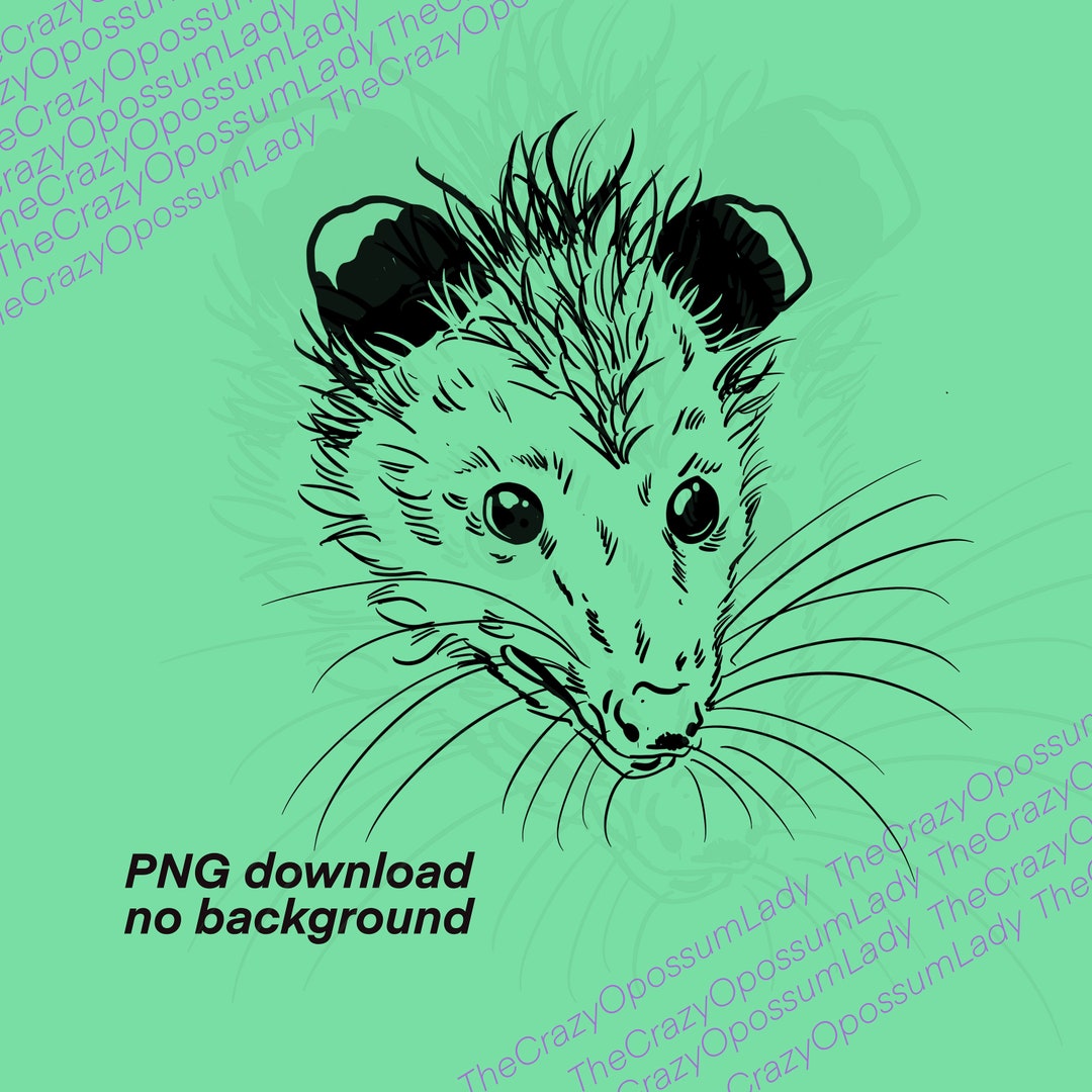 File : Opossum SVG, Possum, Woodland, Wild Virginia Opossum, Cute
