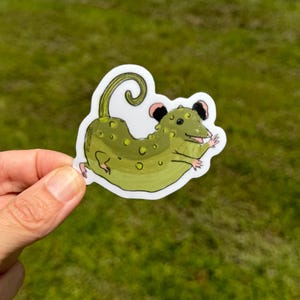 Sticker: Pickle Possum Opossum Planner, Craft, Vinyl Art Sticker, Wildtiere, Tier-Reha, Tierliebhaber