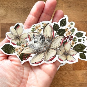 Pegatina: gran zarigüeya zarigüeya en planificador de magnolias de pantano, artesanía, pegatina de vinilo, vida salvaje, rehabilitación de animales, amante de los animales