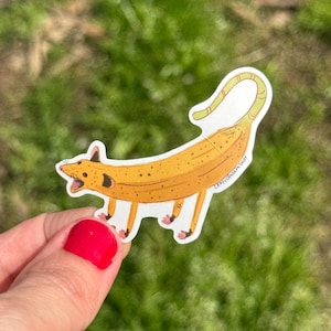 Aufkleber: Screaming Banana Opossum Planner, Planer, Vinyl Art Sticker, Wildlife, Animal Reha, Tierliebhaber