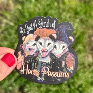 Aufkleber: Hokus Pokus Sanderson Schwestern Halloween Opossum Lady, Possum Planer, Vinyl Art Sticker, Wildlife, Animal Rehab