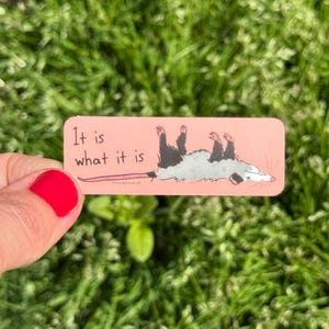 Pegatina: Es lo que es la vida Planificador de zarigüeya dramática, Manualidades, Pegatinas de vinilo, Vida salvaje, Rehabilitación de animales, Amante de los animales