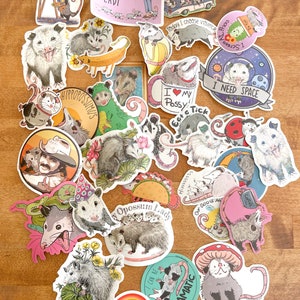 Adesivo: Lote misterioso de adesivos de planejador de gambá, artesanato, adesivo de arte em vinil, vida selvagem, reabilitação de animais, amantes de animais