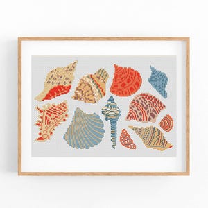 Può includere: Una stampa incorniciata con una collezione di conchiglie colorate nei toni del rosso, blu e beige. Le conchiglie sono disposte su uno sfondo bianco, creando un tema costiero. L'opera d'arte è incorniciata in una cornice di legno marrone chiaro.