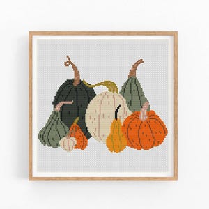 May include: A framed cross-stitch artwork featuring a still life of pumpkins. The pumpkins are in various shapes and sizes, with colors including orange, white, green, and dark green. The artwork is set against a white background.