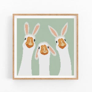May include: Three white geese with orange beaks and long necks are looking at the camera. They have bunny ears and are on a green background.