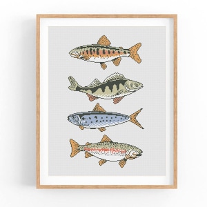 May include: A framed cross-stitch design featuring four different types of fish: a trout, a perch, a herring, and a rainbow trout. The fish are all depicted in a realistic style with detailed scales and fins.