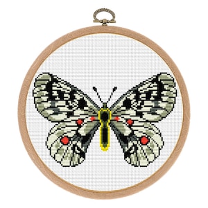 Kreuzstich Schmetterling Muster: Stickmuster in Stickrahmen (PDF)