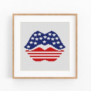 May include: Cross-stitch artwork of lips in a wooden frame. The upper lip is blue with white stars, and the lower lip is red with horizontal stripes, resembling the American flag. The artwork is on a white background.