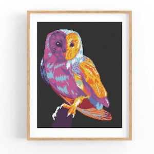 Op de afbeelding: Een kleurrijke uil met paarse, blauwe, oranje en gele veren. De uil zit op een tak met zijn vleugels uitgespreid.