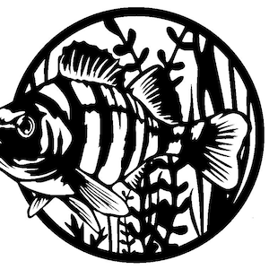 Puede incluir: Ilustración en blanco y negro de un pez nadando en un círculo con plantas acuáticas en el fondo.