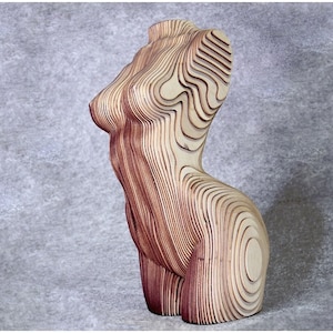 Può includere: Una scultura in legno di un torso umano, realizzata in compensato stratificato. La scultura è di colore marrone chiaro e ha una superficie liscia e arrotondata.