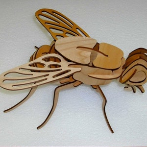 Könnte beinhalten: Ein Holzmodell einer Fliege mit filigranen Details. Die Fliege ist aus hellem braunem Holz gefertigt und hat ein realistisches Aussehen. Die Flügel sind zart und haben ein Adernmuster. Die Beine sind lang und schlank.