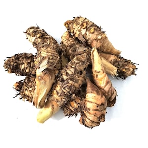10 Orange Turmeric Mother Rhizomes- Florida Fresh! Curcuma longa from Green Ashes Farm, 100% Organic