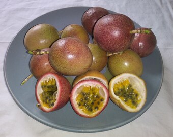 Passion Fruit Plant - Etsy