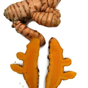 Orange Turmeric Rhizomes roots, Retail Curcuma longa from Green Ashes Farm, Florida Fresh 100% Organic image 4