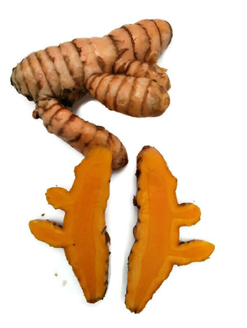 Orange Turmeric Rhizomes roots, Retail Curcuma longa from Green Ashes Farm, Florida Fresh 100% Organic image 4