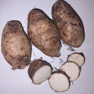 May include: Four brown taro root vegetables with a rough, fibrous skin. The taro root is sliced into rounds, revealing a white, starchy interior.