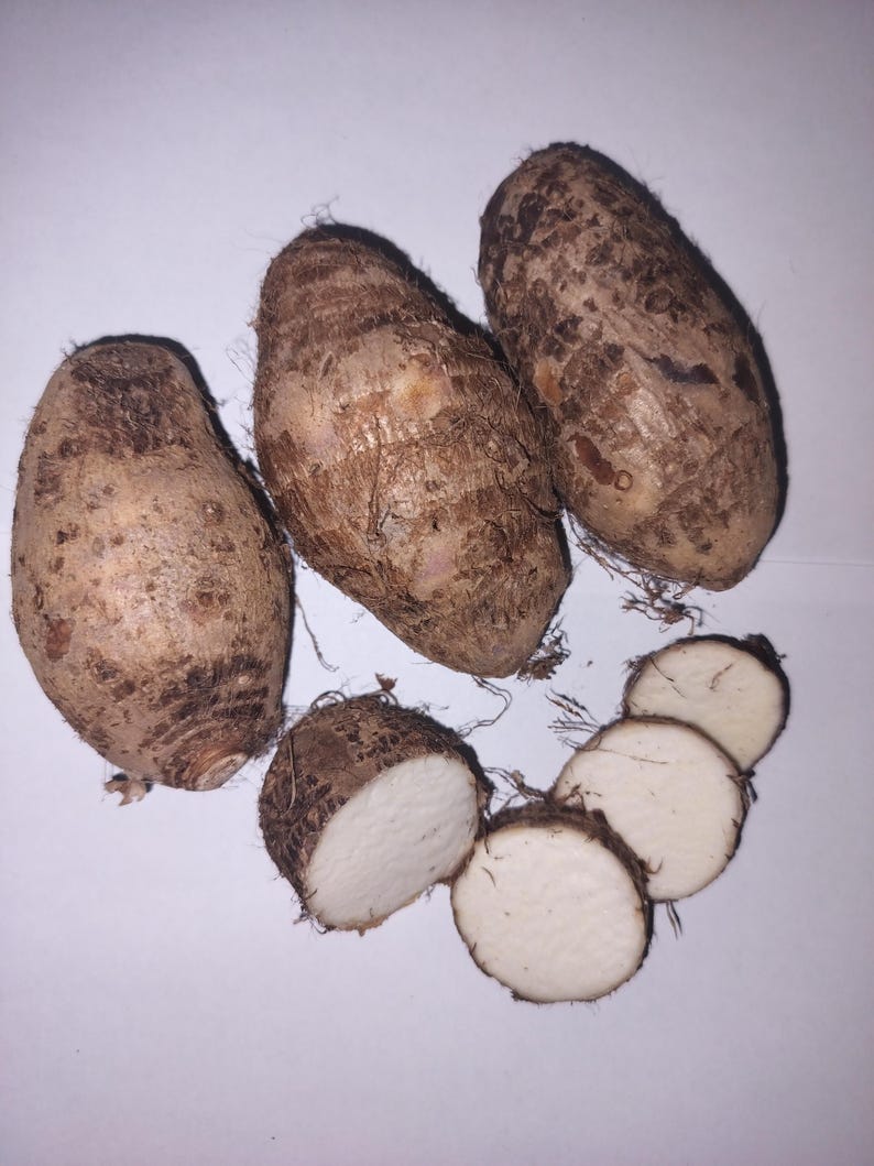 May include: Four brown taro root vegetables with a rough, fibrous skin. The taro root is sliced into rounds, revealing a white, starchy interior.