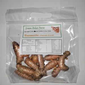 Orange Turmeric Rhizomes roots, Retail Curcuma longa from Green Ashes Farm, Florida Fresh 100% Organic image 10