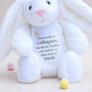 Chance made us Workmates | Colleagues Gift, Bunny Stuffed, Gift Christmas Present, Workmates Gift, Colleagues Girl Gift