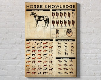 Horse Knowledge Vintage Poster: Horse Breeds, Markings, Anatomy