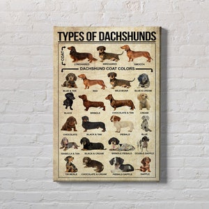 Types Of Dachshunds Dog Poster, Dachshunds Knowledge Poster, Dachshunds Canvas, Dog Lover Poster, Dachshunds Lover, Gift For Dog Lover.