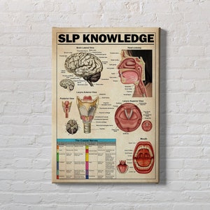 May include: A vintage-style poster titled "SLP KNOWLEDGE" with illustrations of the human brain, larynx, and mouth. The poster includes detailed anatomical diagrams and labels for each part of the body. The poster also includes a table titled "The Cranial Nerves" with information about the 12 cranial nerves.