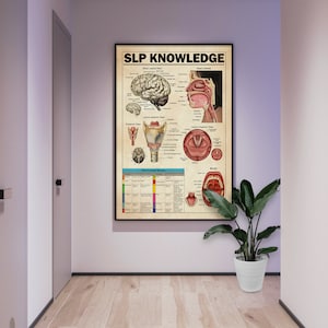 以下が含まれることがあります： 「SLP KNOWLEDGE」というタイトルのヴィンテージスタイルのポスターで、人間の脳、鼻腔、喉頭、口のイラストが描かれています。ポスターには、ラベル付けされた解剖図と「脳神経」というタイトルの表が含まれています。