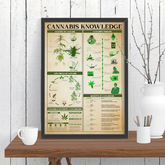 Cannabis Knowledge Vertical Poster Knowledge Poster Plants Etsy