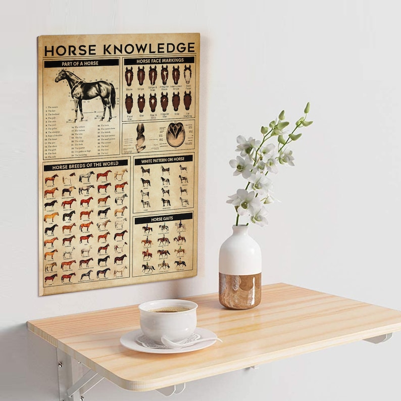 Horse Knowledge Canvas Horse Poster Horse Lover Gift Horse Etsy