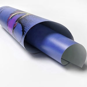 May include: A rolled up poster with a blue background and a colorful abstract design. The poster is rolled up and the edges are visible.
