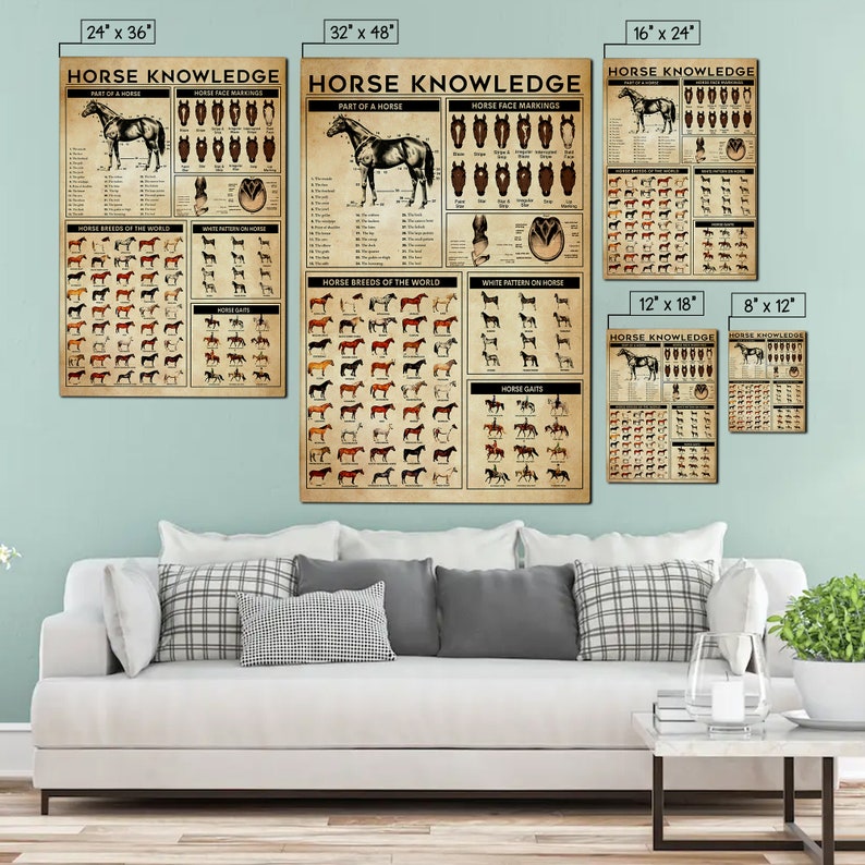 Horse Knowledge Canvas Horse Poster Horse Lover Gift Horse Etsy