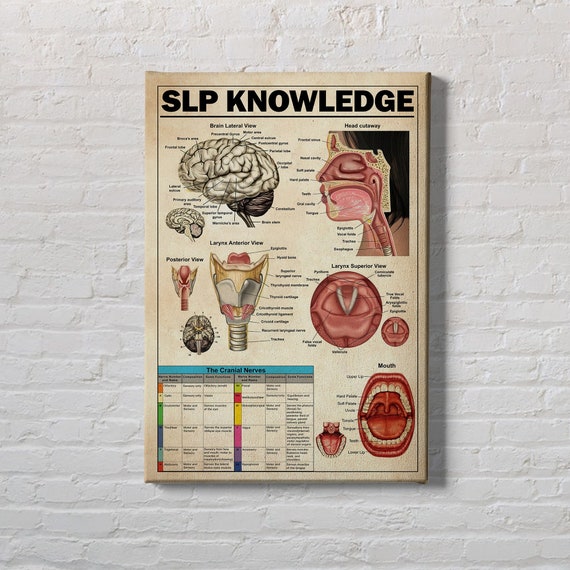 SLP Knowledge Vintage Poster: Speech Language Pathology Art