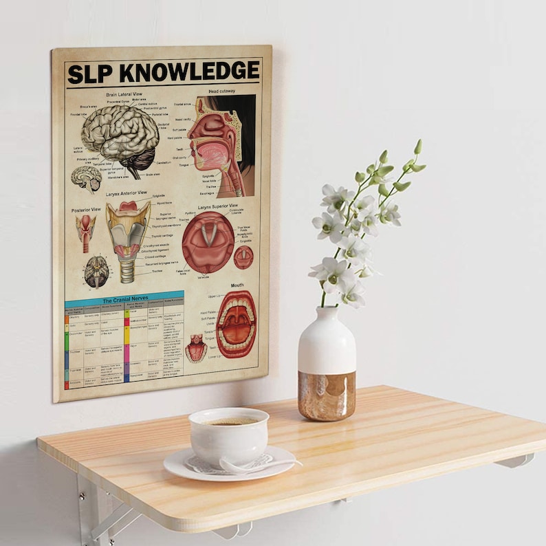 以下が含まれることがあります： 「SLP KNOWLEDGE」というタイトルのヴィンテージスタイルのポスターで、人間の脳、喉頭、口のイラストが描かれています。ポスターには、音声器官のさまざまな部分の解剖学的図とラベルが含まれています。
