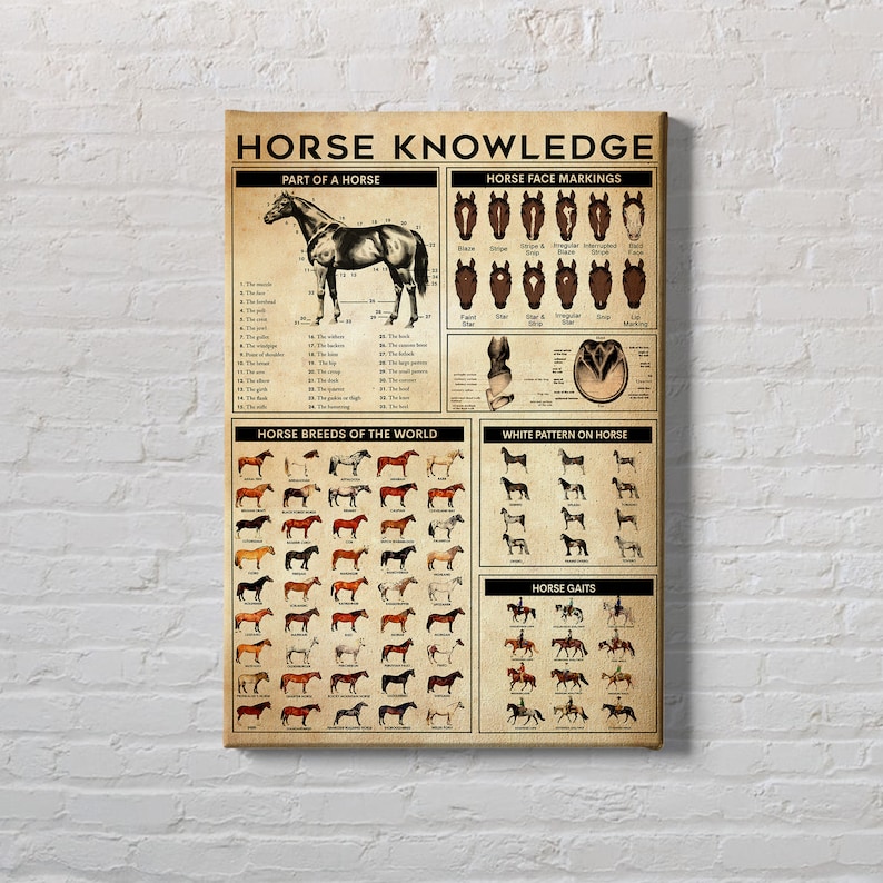 Horse Knowledge Canvas Horse Poster Horse Lover Gift Horse Etsy