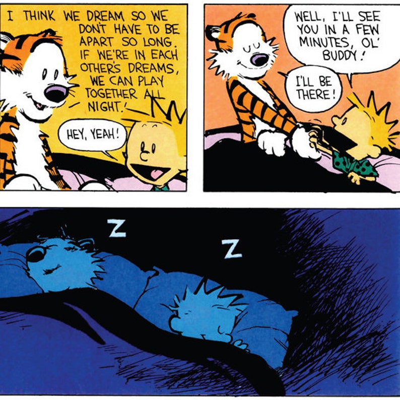 Comic Strip Why Do We Dream When We Sleep Poster Print 0803 - Etsy