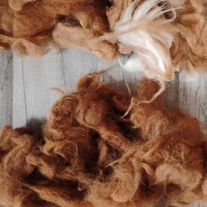 Huacaya soft alpaca fiber washed only - sold in 2 ounce quantities. Colors: Brown and Fawn Soft, short staple fiber