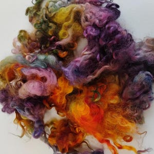Ethically sourced Cotswold Ewe Locks sold by .50 ounce (1.5 ounce in pic) -In the Garden- curly doll hair, wet and needle felt, spinning