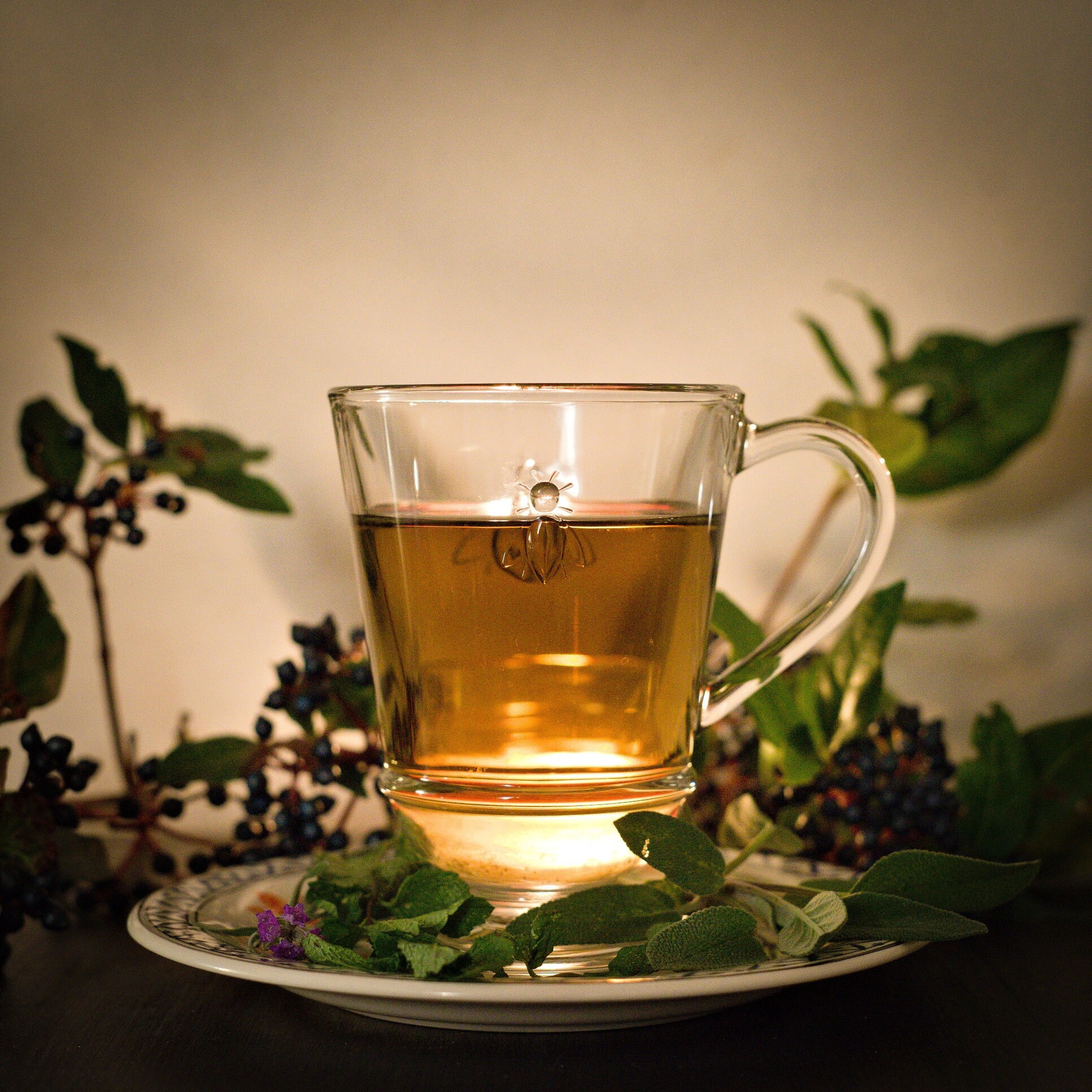 Infusion Diane 170Ml