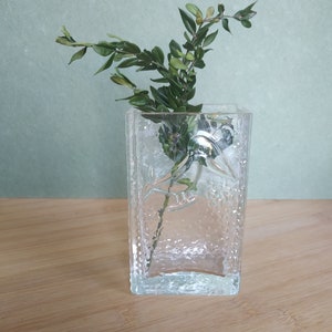 Può includere: Un vaso di vetro trasparente e strutturato, di forma quadrata, che contiene rami verdi e frondosi. Il vaso è appoggiato su una superficie di legno, con uno sfondo verde chiaro. Il vetro ha un aspetto strutturato e a bolle.