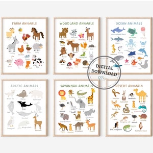 Clasificación de animales, láminas educativas para niños, carteles para el aula, láminas para el hogar y la escuela, carteles de aprendizaje, escuela Montessori, DESCARGA DIGITAL