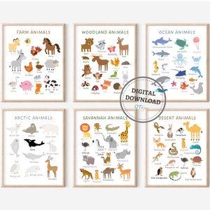 Tierklassifikation, Lernposter für Kinder, Klassenzimmerposter, Schulposter, Lernposter, Montessori-Schule, DIGITAL DOWNLOAD