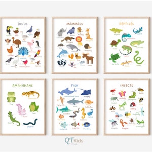 Impressions éducatives pour enfants, Classification des animaux, Posters pour la classe, Impressions scolaires à domicile, Posters d'apprentissage, École Montessori, TÉLÉCHARGEMENT NUMÉRIQUE