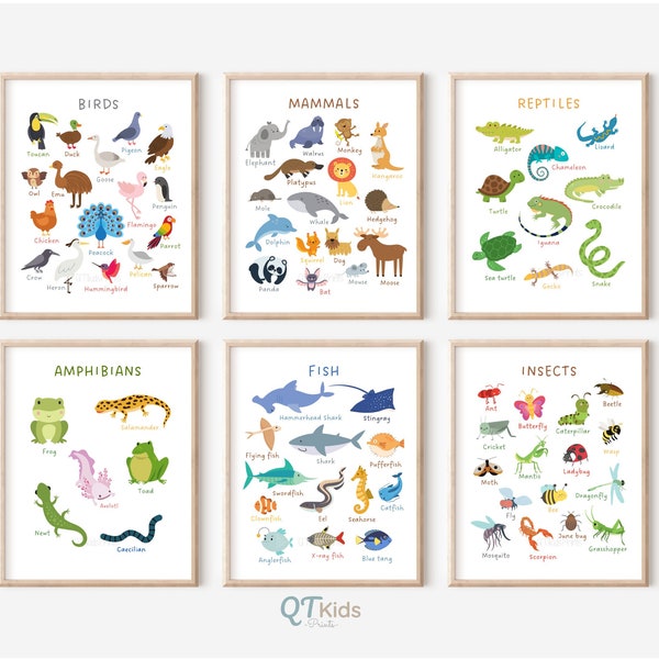 Kids Educational Prints, Animal Classification, Classroom Posters, Home School Prints, Learning Posters, Montessori School, DIGITAL DOWNLOAD