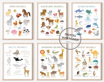 Animal Classification, Kids Educational Prints, Classroom Posters, Home School Prints, Learning Posters, Montessori School, DIGITAL DOWNLOAD
