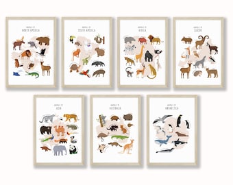 May include: Set of 6 illustrated posters featuring animals from different continents. Each poster has a pink outline of the continent and features a variety of animals native to that region. The posters are titled "Animals of North America", "Animals of South America", "Animals of Africa", "Animals of Europe", "Animals of Asia", and "Animals of Antarctica".