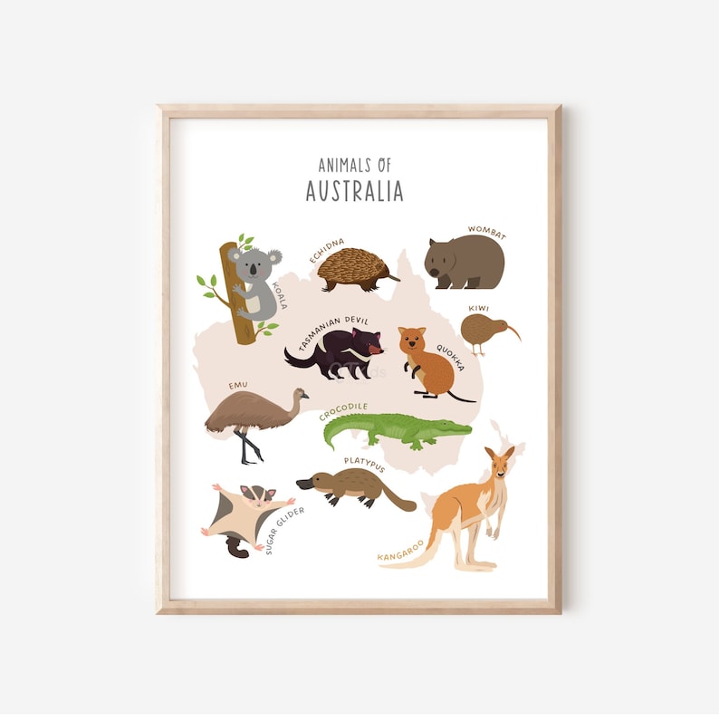 Animals of the World Prints Set of 7 Educational Printable - Etsy
